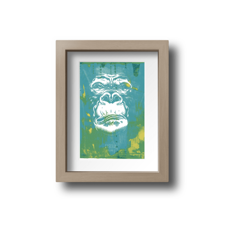 Kong color (2/8)