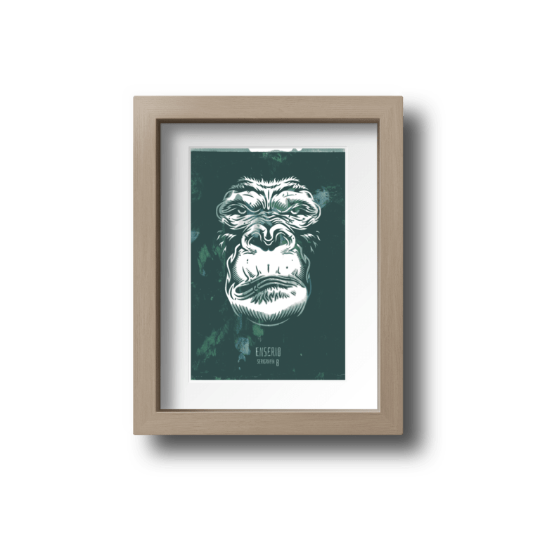 Kong color (5/8)