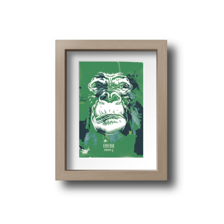 Kong color (6/8)