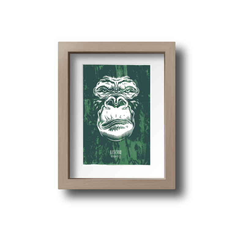 Kong color (8/8)